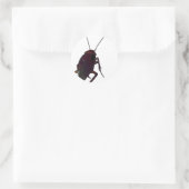 Crunchy Cockroach Runder Aufkleber (Tasche)
