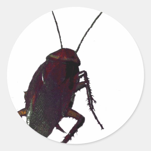Crunchy Cockroach Runder Aufkleber (Vorderseite)