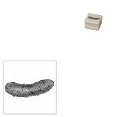 Crunchy Kosher Sour Dill Pickle Pickles Feinschmec Gummistempel (Stempel)