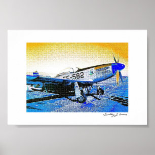 "Crusader" P51 Mustang © 2009 S.J. Poster