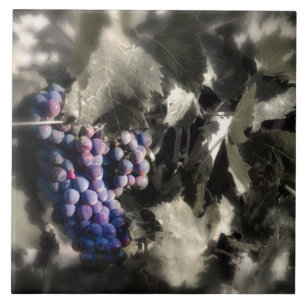 Crush in Tefft Keller Hauptweinhof Fliese