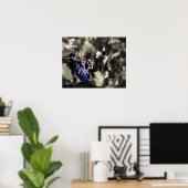 Crush in Tefft Kellerweinen Poster (Heimbüro)