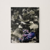 Crush in Tefft Kellerweinen Puzzle (Vertikal)