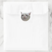 Cry Meme Cat Quadratischer Aufkleber (Tasche)