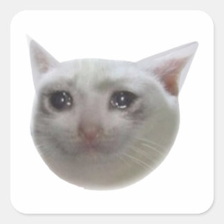 Cry Meme Cat Quadratischer Aufkleber
