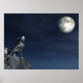 Cry Wolf Poster (Vorne)