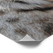 Crypta Bobcat Poster (Ecke)