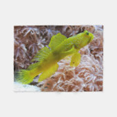 Cryptocentrus cinctus fleecedecke (Vorderseite (Horizontal))