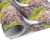 Cryptocentrus cinctus geschenkpapier (Rolleneckpunkt)