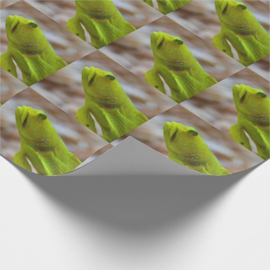 Cryptocentrus cinctus geschenkpapier (Ecke)