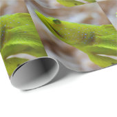 Cryptocentrus cinctus geschenkpapier (Rolleneckpunkt)