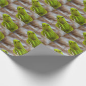 Cryptocentrus cinctus geschenkpapier (Ecke)