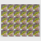 Cryptocentrus cinctus geschenkpapier (Flach)