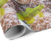 Cryptocentrus cinctus geschenkpapier (Rolleneckpunkt)