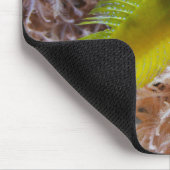 Cryptocentrus cinctus mousepad (Ecke)