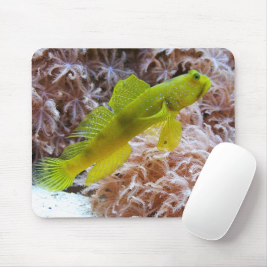 Cryptocentrus cinctus mousepad (Mit Mouse)