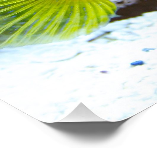 Cryptocentrus cinctus poster (Ecke)