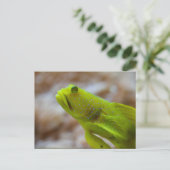 Cryptocentrus cinctus postkarte (Stehend Vorderseite)