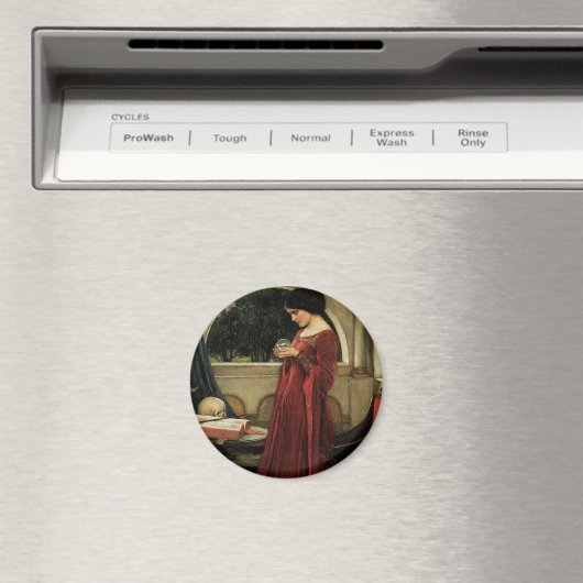 Crystal Ball von John William Waterhouse Magnet (In Situ (Geschirrspüler))