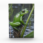 "Crystal Clarity: Green Glass Frog on River Reeds" Fotoblock (Vorderseite)