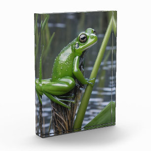 "Crystal Clarity: Green Glass Frog on River Reeds" Fotoblock