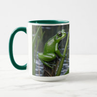 "Crystal Clarity: Green Glass Frog on River Reeds"