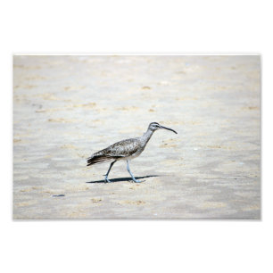 Crystal Cove Staat Park Fotodruck