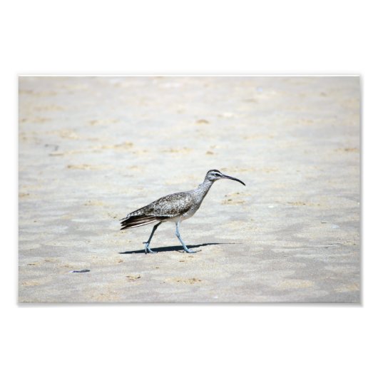 Crystal Cove Staat Park Fotodruck (Vorne)