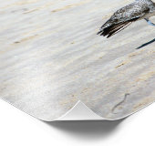 Crystal Cove Staat Park Fotodruck (Ecke)