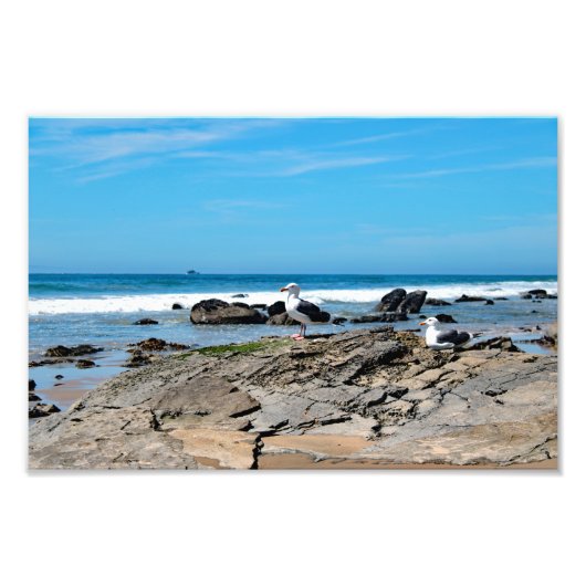 Crystal Cove Staat Park Fotodruck (Vorne)