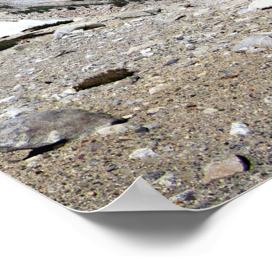 Crystal Crag Mammoth Seen Becken Mammoth Wappen Poster (Ecke)