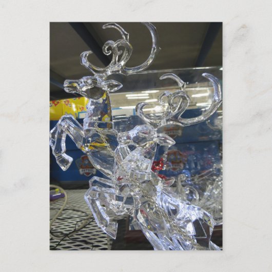 Crystal Deer Postkarte (Vorderseite)