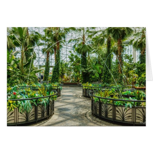 Crystal Gardens Leap Fossilienmuseum (Vorderseite (Horizontal))