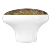 Crystal Geode Sphere Crystals Keramikknauf (Seitenansicht)