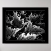 Crystal Morning Poster (Vorne)