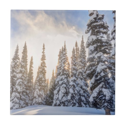 Crystal Mountain Ski Resort, nahe dem Berg Rainier Fliese (Vorderseite)