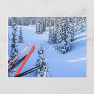 Crystal Mountain Ski Resort, nahe dem Berg Rainier Postkarte