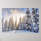 Crystal Mountain Ski Resort, near Mt. Rainier 1 Poster (Vorne)