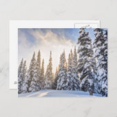 Crystal Mountain Ski Resort, near Mt. Rainier 1 Postkarte (Vorne/Hinten)