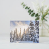 Crystal Mountain Ski Resort, near Mt. Rainier 1 Postkarte (Stehend Vorderseite)