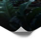 Crystal Panther Night Glow Poster (Ecke)