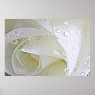 Crystal Rain Poster