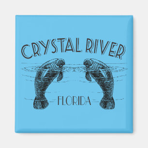 Crystal River Florida mit Manatees Magnet