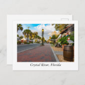 Crystal River Florida Postkarte (Vorne/Hinten)