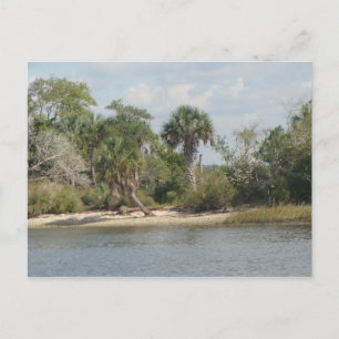 Crystal River Florida Postkarte