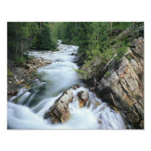 Crystal River, Gunnison National Forest, Fotodruck