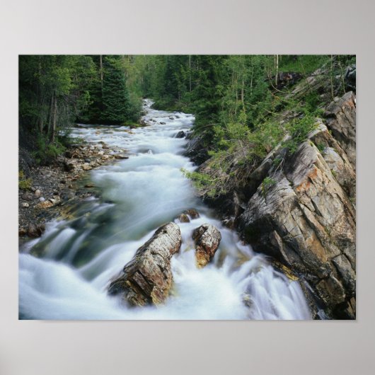 Crystal River, Gunnison National Forest, Poster (Vorne)
