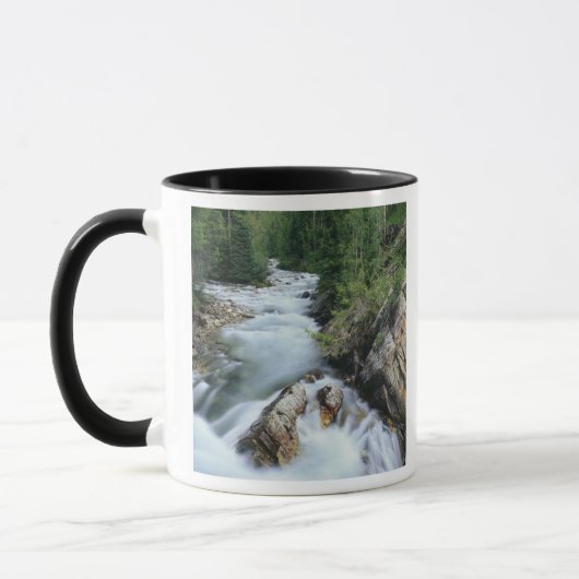 Crystal River, Gunnison National Forest, Tasse (Links)