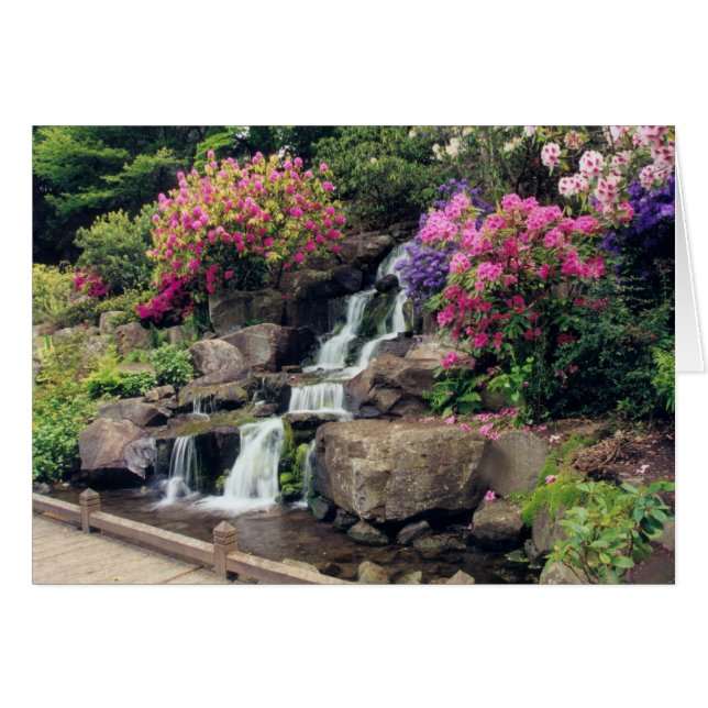 Crystal Springs Garden 2 (Vorderseite (Horizontal))