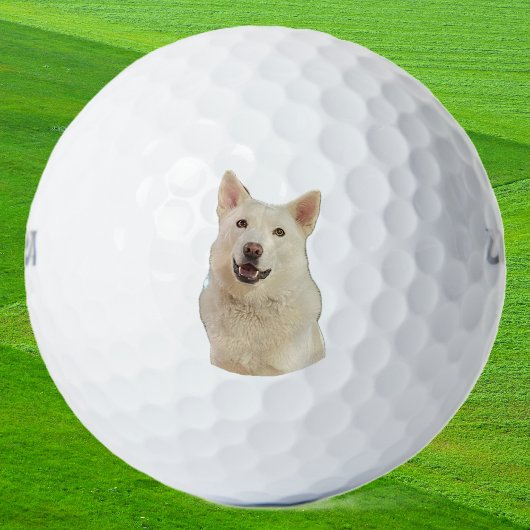 Crystal the Happy Husky Dog - Golf Balls Golfball